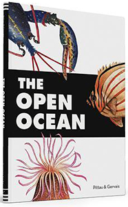 The Open Ocean