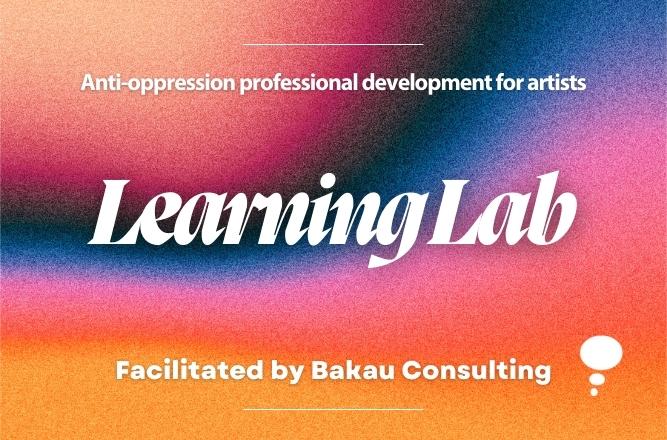 Learning Lab anti-oppression professional development with Bakau Consulting